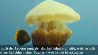 Reformátor časť 1 - Pravda o evolúcii (Zlučiteľnosť islam