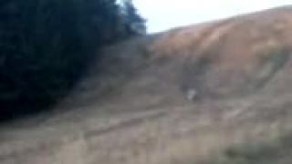 Pitbike 125