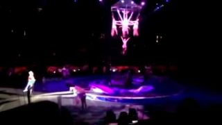 Nehoda v cirkuse Ringling Bros. and Barnum & Bailey