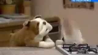 Will Smith BeatBoxing [1990 - 1995]