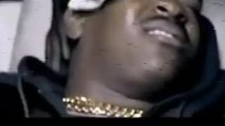 Lamar - Fly