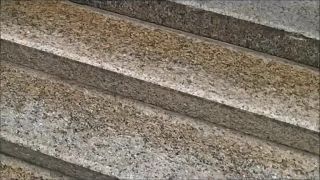 Volby do EÚ 2014 v Slovenskom Banánistane!