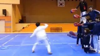 Taekwon-do twister