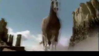 Bryan Adams - Here I Am (2002)