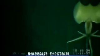 Alien creatures...