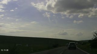 Cesky sialenec
