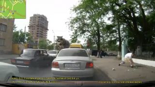 Vyhadzovanie odpadkov z okna sa nevypláca