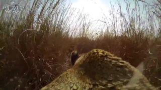 Levica s GoPro kamerou na love