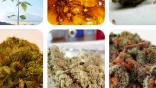 Dj Džema Ganja mix