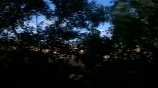Pole s obilim z vlaku