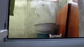 Kam to ten kocúrik pozerá?