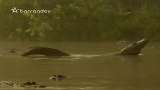 Nigel Marven - Invaze Obřích hadu