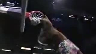 Maskoti V Basketbale Si Dali Sutaz