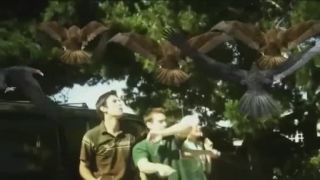 Birdemic holiwúdsky trhák