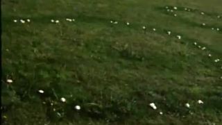 Je to možné UFO