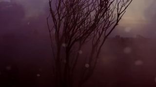 Linkin Park - Final Masquerade (Official video)