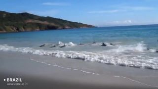 4 minuty, ktoré vám vrátia doveru v ludskosť
