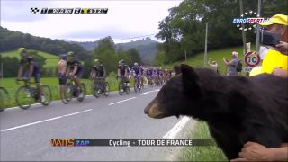 Watts Zap Tour de France 2014!