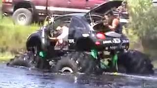 Monster beetle