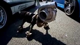 M.I.V.W Netherlands 2014 Official Video .