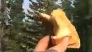 Vrana a hamburger