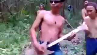 Zabava v pralese