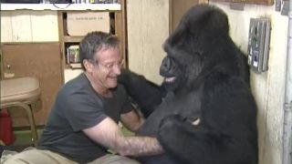 Koko a Robin Williams 