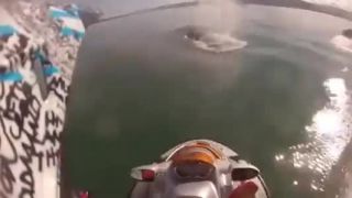 Jet ski vs. veľryba