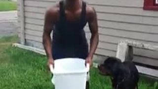 Ice pesa challenge