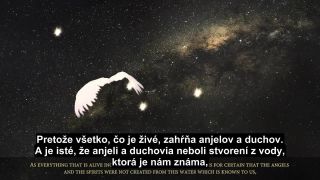 Z vody sme všetko živé učinili