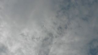 Siaf - 2014 MIG - 29AS