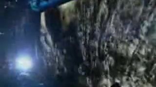 KoRn_ONE