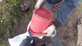 Farmár hľadá krumple
