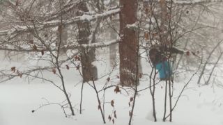 Snow - scoot