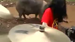 Metalové prasce