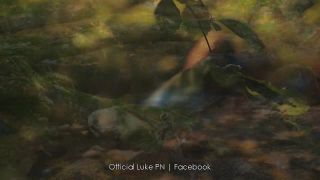 Luke PN - Earth