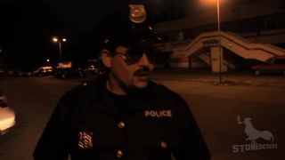 Prehliadka motorového vozidla