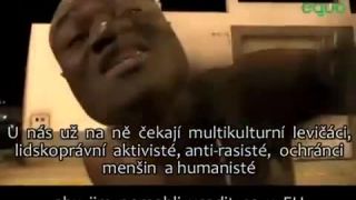"Mierumilovný" černosi idu do Eú