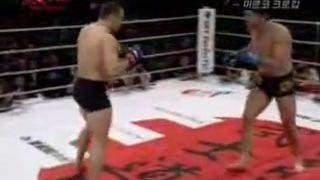 Mirko Crocop vs. Poor Japanese