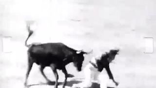 Človek a býk