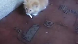 Daj mi tu cigaretu !
