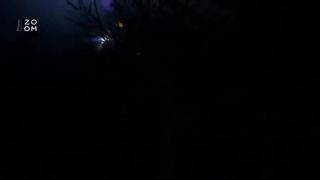Odhalení Mimozemské spisy S01E02