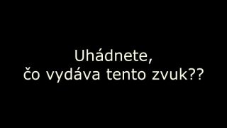 Videohádanka: Čo vydáva tento zvuk?