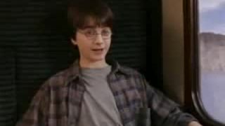 Chytľavý Potter