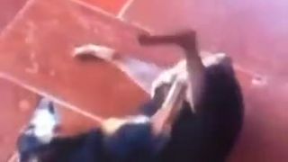 Pes robí brake dance