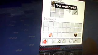 Minecraft alex a samo