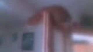 Artista