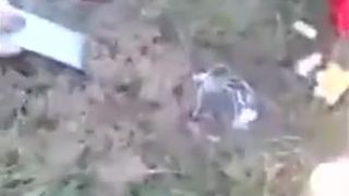 Pohreb potkana