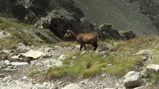 Vysoké Tatry 2014