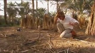Pán hadov - Had, ktorý zabil Kleopatru